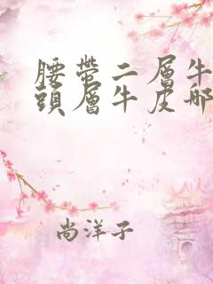 腰带二层牛皮和头层牛皮哪个好