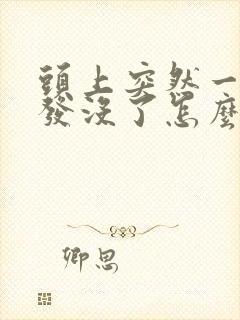 头上突然一块头发没了怎么回事