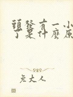 头发有一小块秃了是什么原因