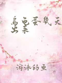 乌龟蛋几天能孵出来