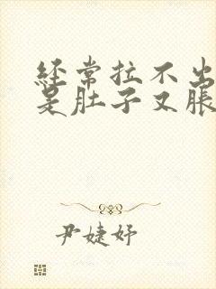 经常拉不出屎但是肚子又胀