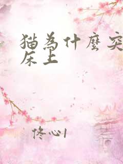 猫为什么突然尿床上