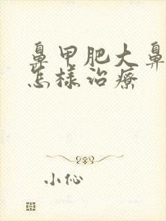 鼻甲肥大鼻窦炎怎样治疗