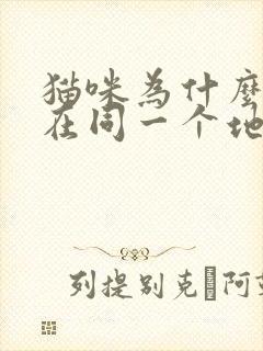 猫咪为什么反复在同一个地方尿