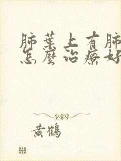 肺叶上有肺大泡怎么治疗好