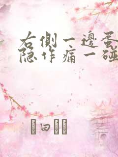 右侧一边蛋蛋隐隐作痛一碰就疼