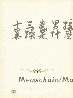 十三岁男孩脾气暴躁是什么原因