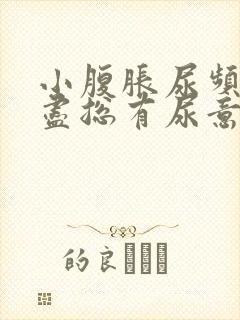 小腹胀尿频尿不尽总有尿意