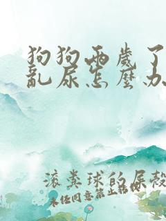 狗狗两岁了还是乱尿怎么办