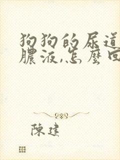 狗狗的尿道口有脓液,怎么回事儿