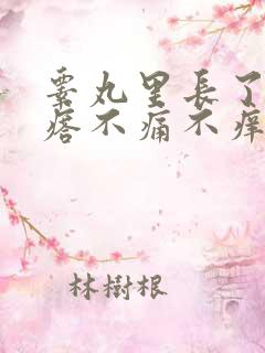 睾丸里长了硬疙瘩不痛不痒