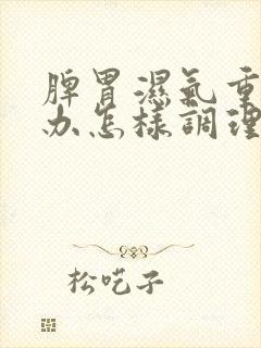 脾胃湿气重怎么办怎样调理