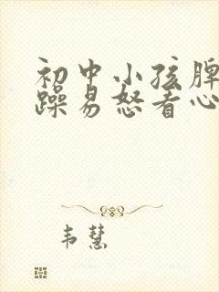 初中小孩脾气暴躁易怒看心理科吗