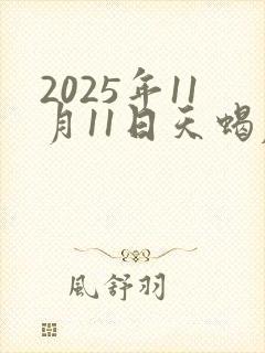 2025年11月11日天蝎座运势