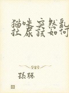 猫咪突然乱拉屎拉尿该如何解决