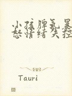 小孩脾气暴躁易怒情绪失控