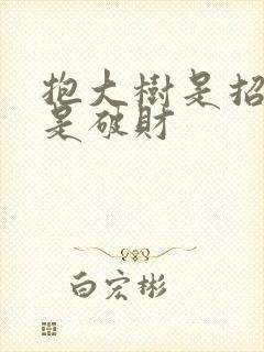 抱大树是招财还是破财