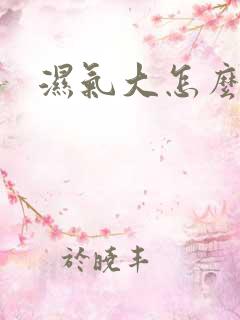 湿气大怎么排湿