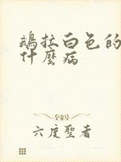 鹅拉白色的屎是什么病