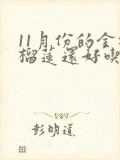 11月份的金枕榴莲还好吃吗