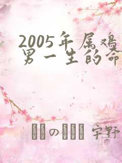 2005年属鸡男一生的命运怎样