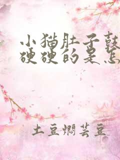 小猫肚子鼓鼓的硬硬的是怎么回事