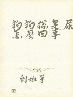 狗狗总是尿血是怎么回事