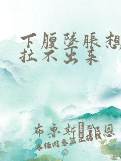 下腹坠胀想拉屎拉不出来