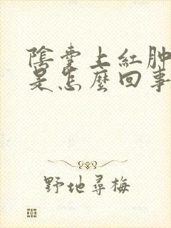 阴囊上红肿疙瘩是怎么回事