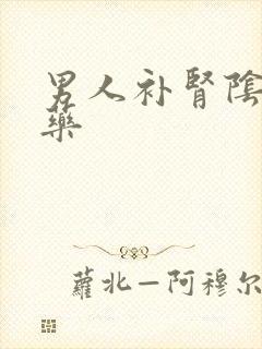 男人补肾阴阳中药