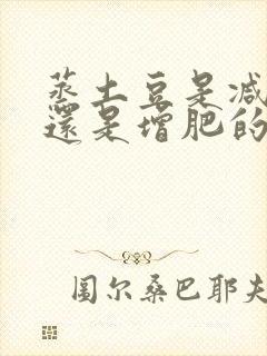 蒸土豆是减肥的还是增肥的