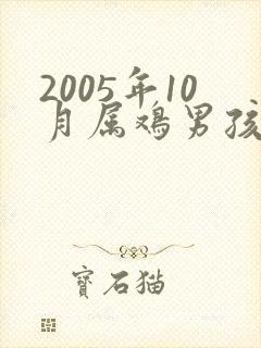 2005年10月属鸡男孩的是命运