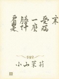 肩膀一受寒就疼是什么病