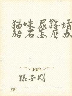 猫咪尿路堵塞尿结石怎么办