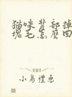 猫咪背部掉了一块毛怎么回事