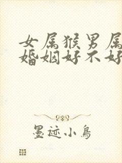 女属猴男属羊的婚姻好不好