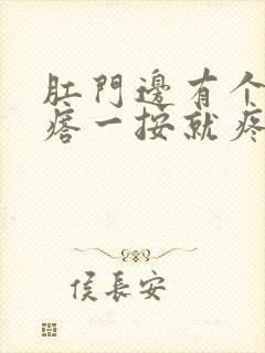 肛门边有个硬疙瘩一按就疼怎么治