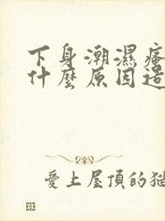 下身潮湿瘙痒是什么原因造成的