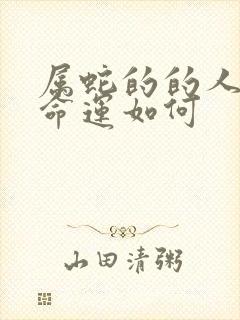 属蛇的的人一生命运如何