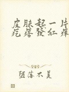 皮肤起一片鸡皮疙瘩发红痒