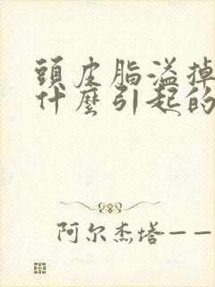 头皮脂溢掉发是什么引起的