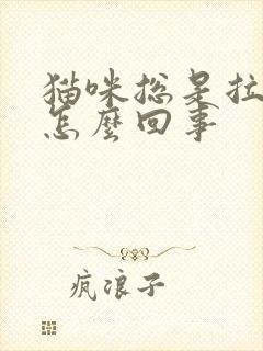 猫咪总是拉软便怎么回事