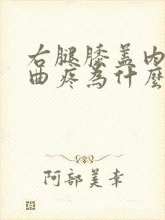 右腿膝盖内侧弯曲疼为什么