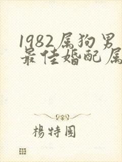 1982属狗男最佳婚配属相