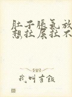 肚子胀气放屁多想拉屎拉不出来