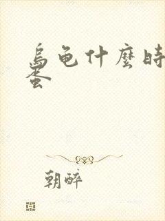 乌龟什么时候生蛋