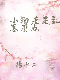 小狗老是乱拉尿怎么办