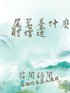 属羊养什么花旺财增运