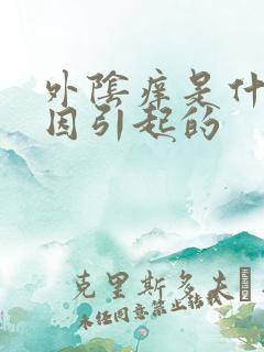 外阴痒是什么原因引起的