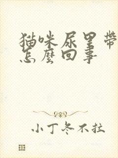 猫咪尿里带血是怎么回事